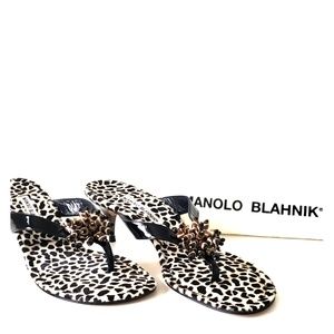 Manolo Blahnik Calto Black